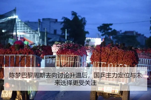 陈梦巴黎周期去向讨论升温后，国乒主力定位与未来选择更受关注